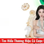SC88 là gì: Tìm Hiểu Thương Hiệu Cá Cược Uy Tín Số 1